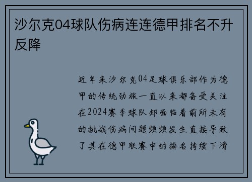 沙尔克04球队伤病连连德甲排名不升反降